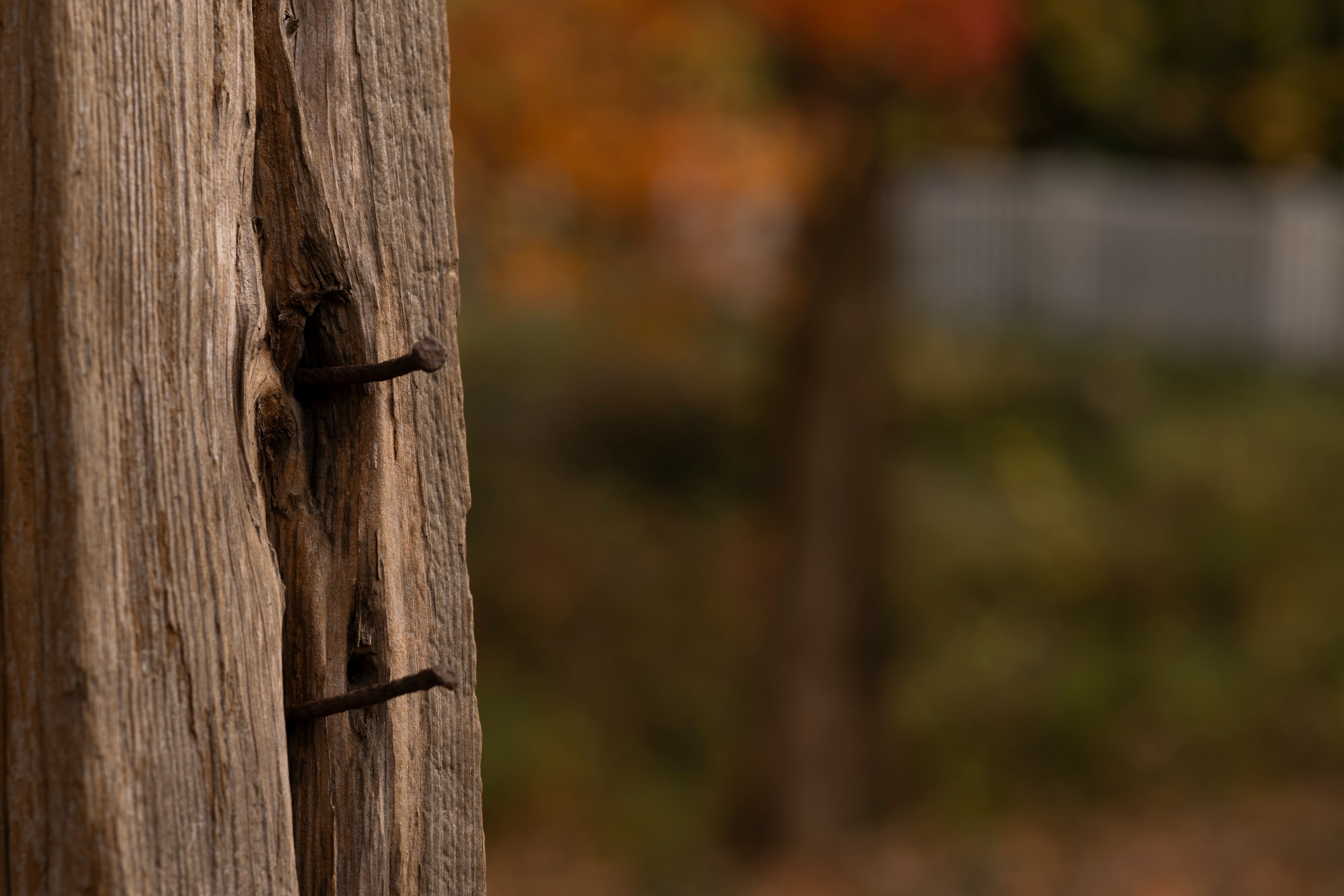 The Top 5 Myths About Roofing Damage