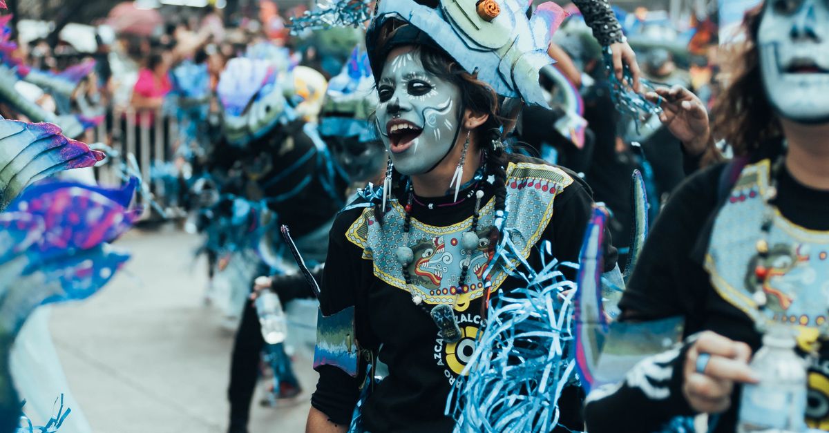 Why the Rio de Janeiro carnival is the largest carnival in the world Why the Rio de Janeiro carnival is the largest carnival in the world