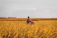 日落时分，一名妇女站在巴西福摩萨生机勃勃的麦田里