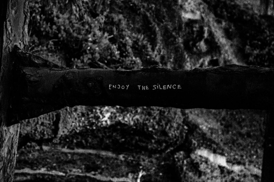 Black and white image featuring 'Enjoy the Silence' text on a tree branch in a forest setting.