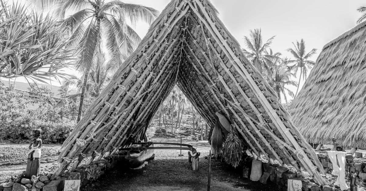 Photo by Earl Betts Black and white photo of traditional Hawaiian hut and palm trees, evoking island culture.