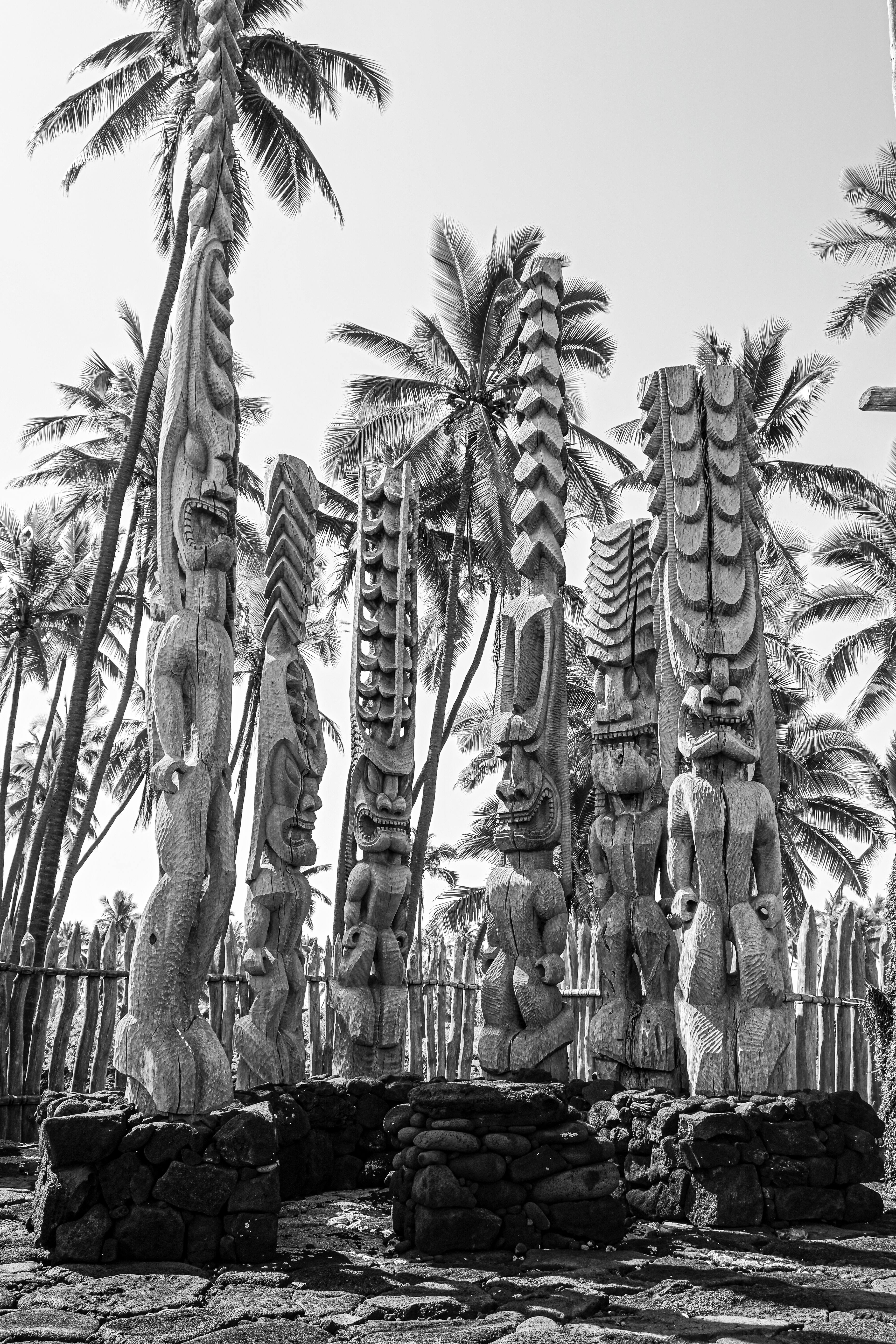 Royal Belum State Park Ancient Rainforest and Wildlife