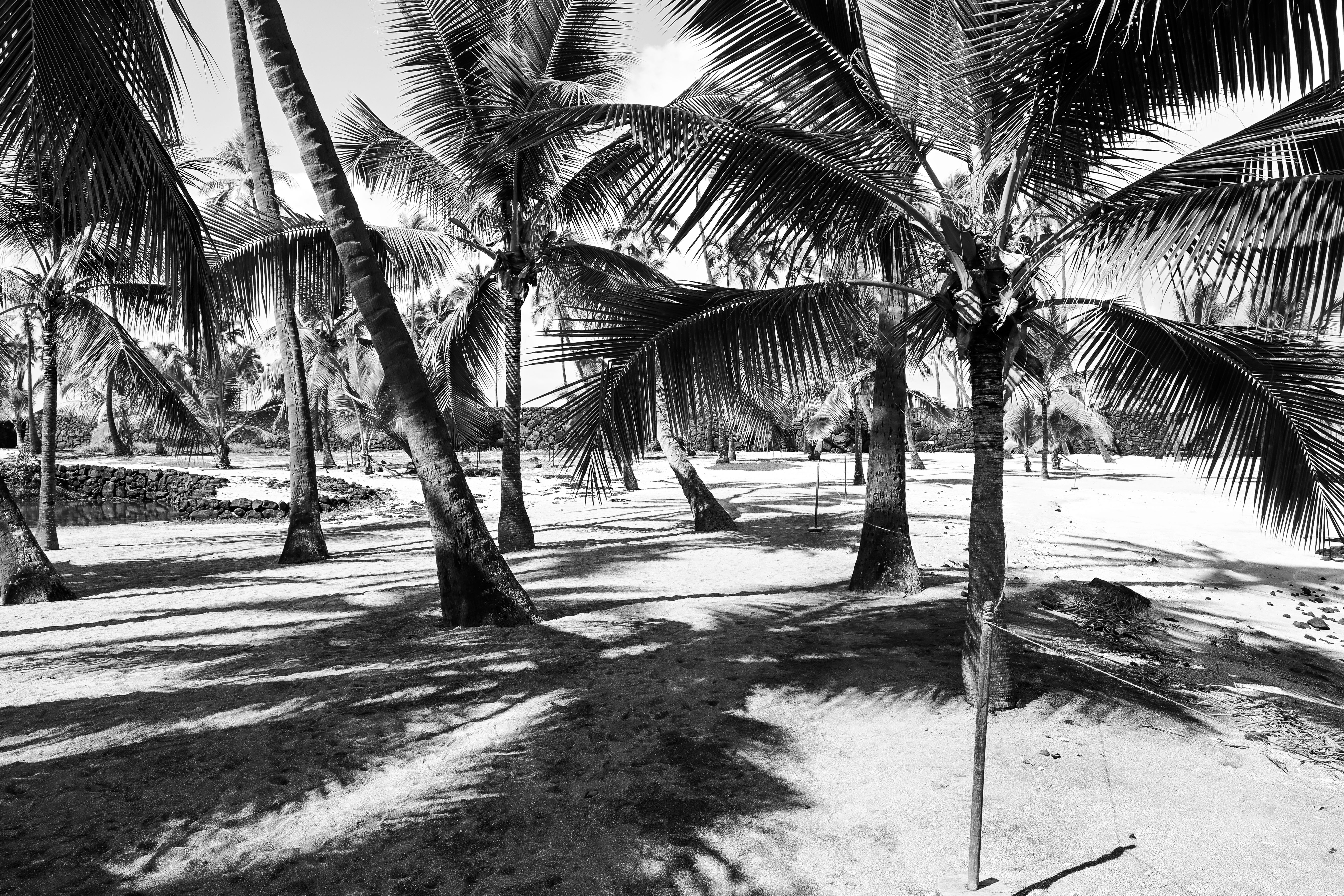Isla Mauricio: Vuelos + 7 noches por 744 euros