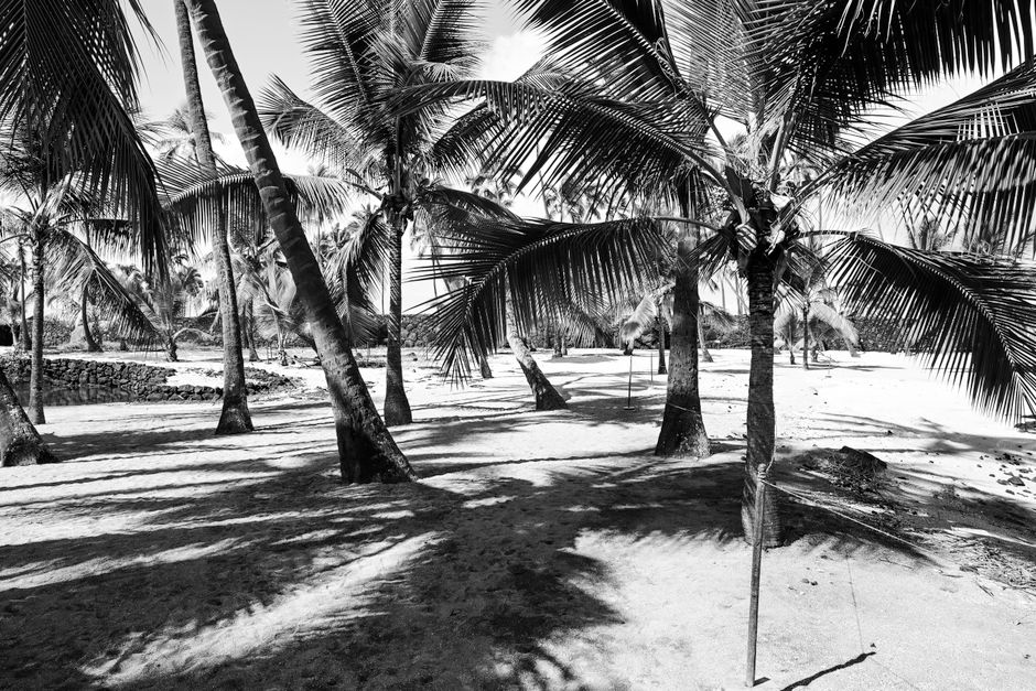 Isla Mauricio: Vuelos + 7 noches por 744 euros