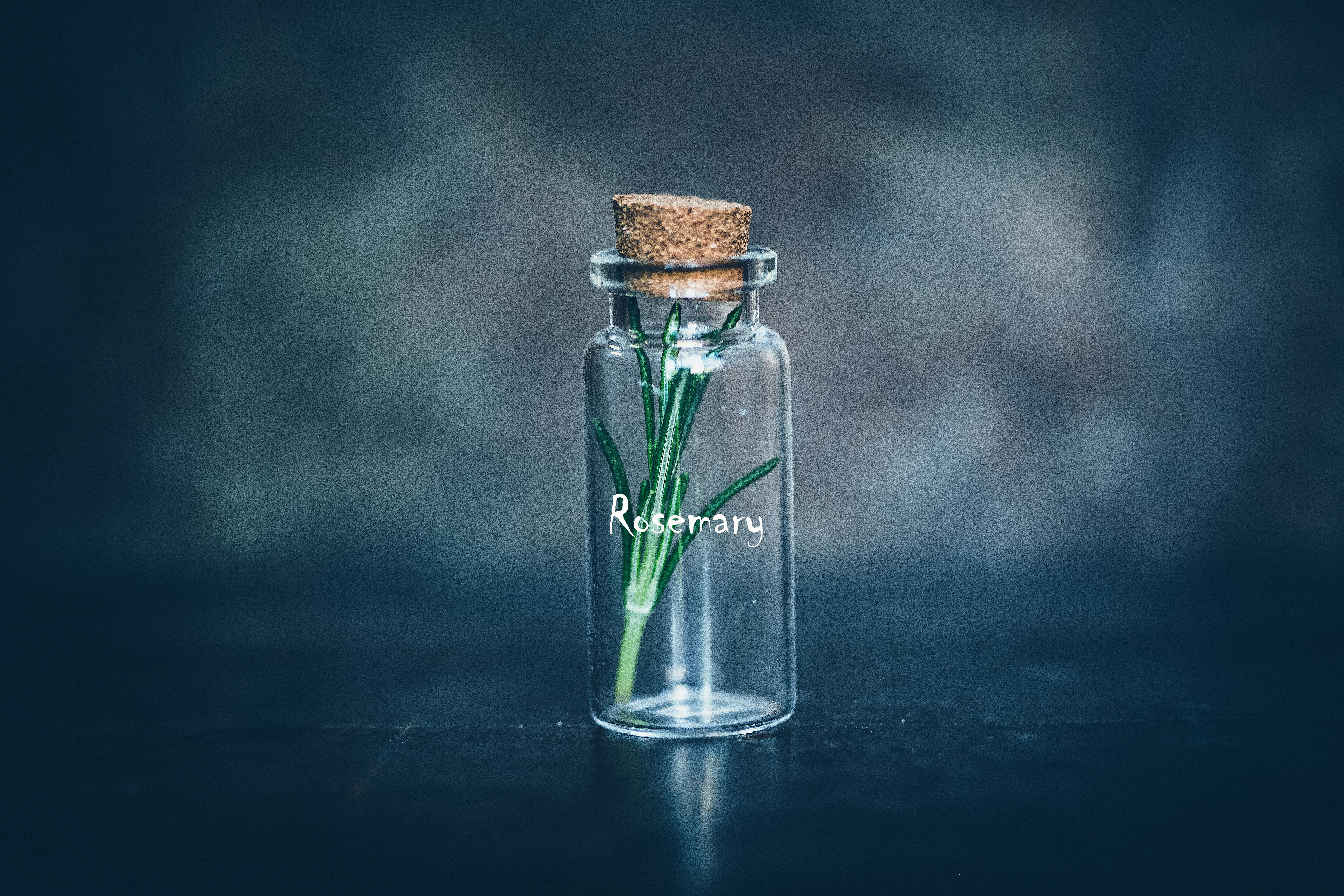 Download Empty Clear Glass Bottle · Free Stock Photo