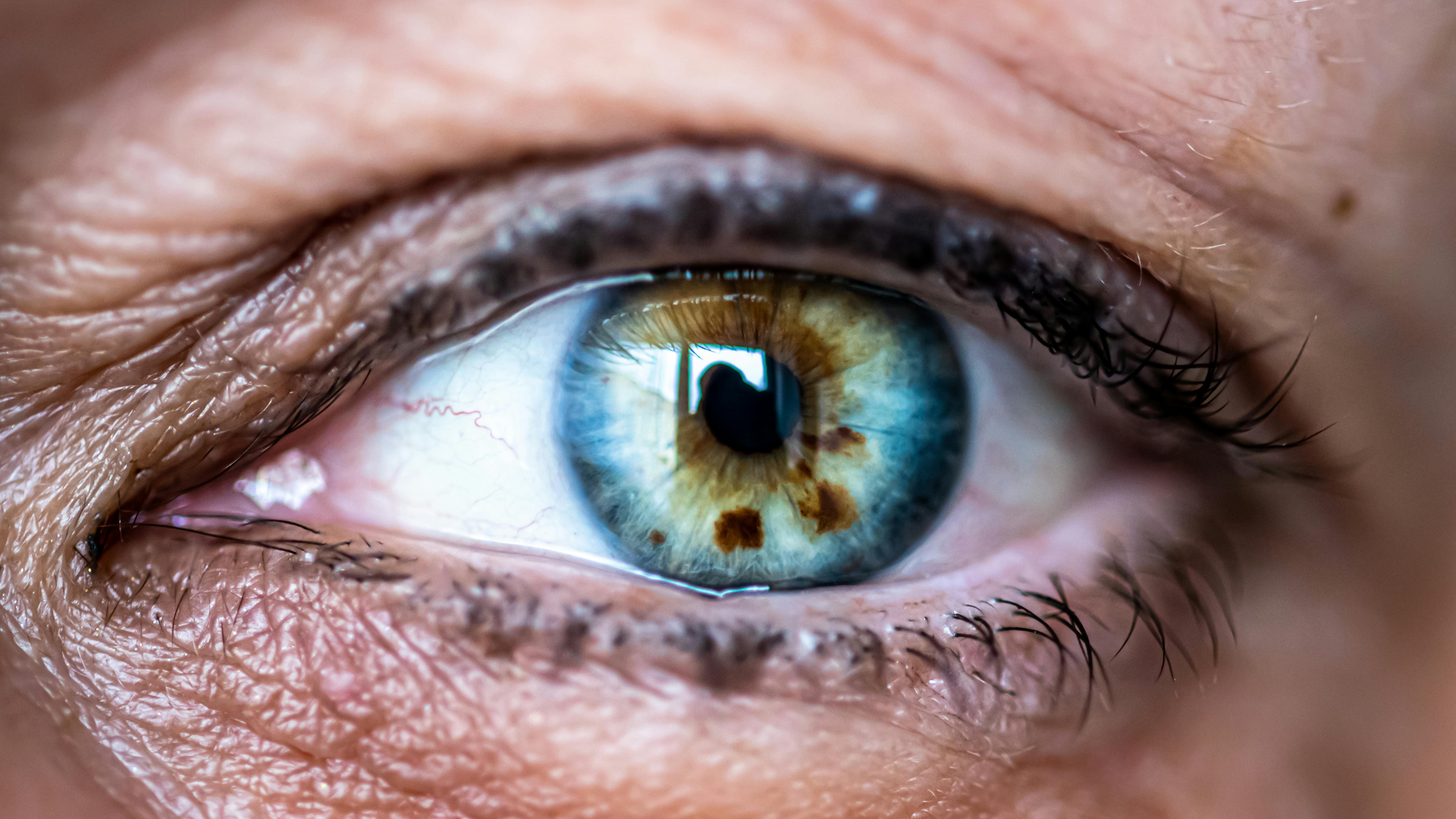 免費 微距鏡頭捕捉藍色和棕色人眼的複雜細節，突出獨特的圖案。 圖庫相片