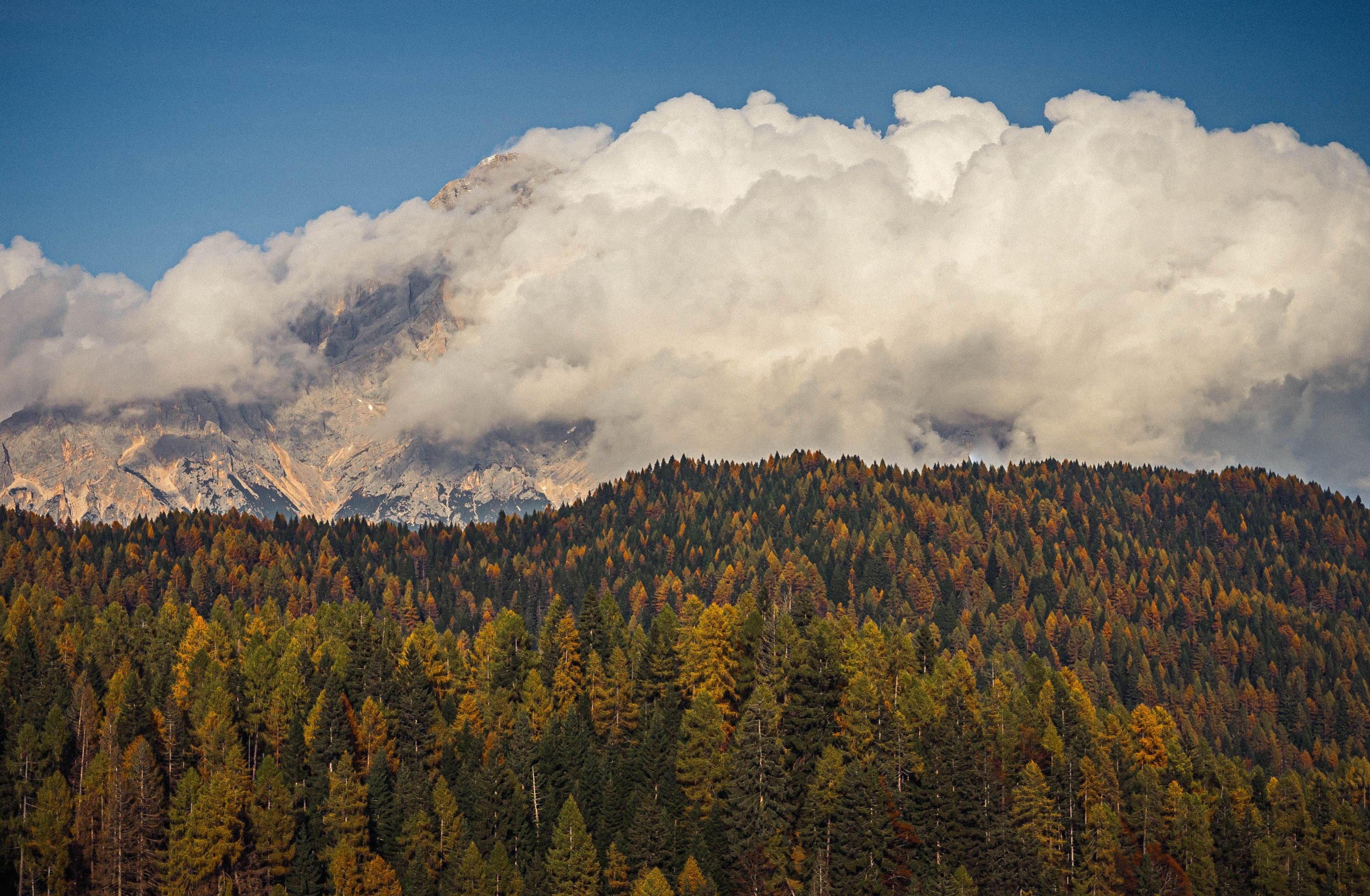 Majestic Mountain Forest Under Dramatic Clouds · Free Stock Photo