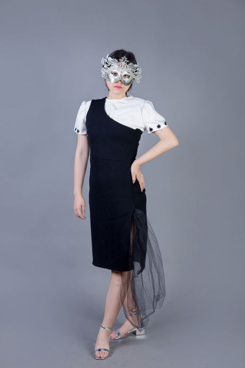 Elegant Woman in Masquerade Costume Free Stock Photo Elegant Woman in Masquerade Costume Free Stock Photo