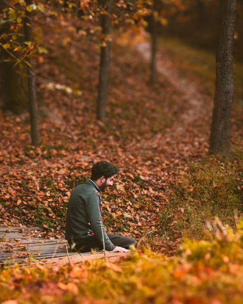 Free Solitary man sitting on a bench along a scenic autumn forest trail, lost in thought. Stock Photo