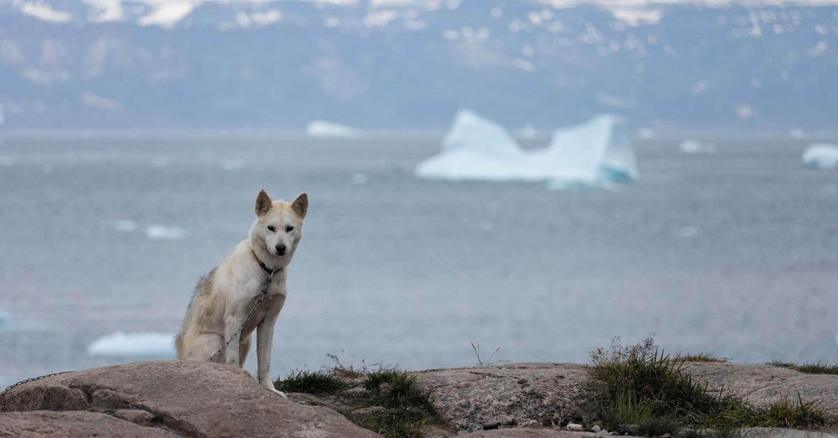 Iceberg en Ilulissat con una eSIM para Groenlandia activa en el móvil