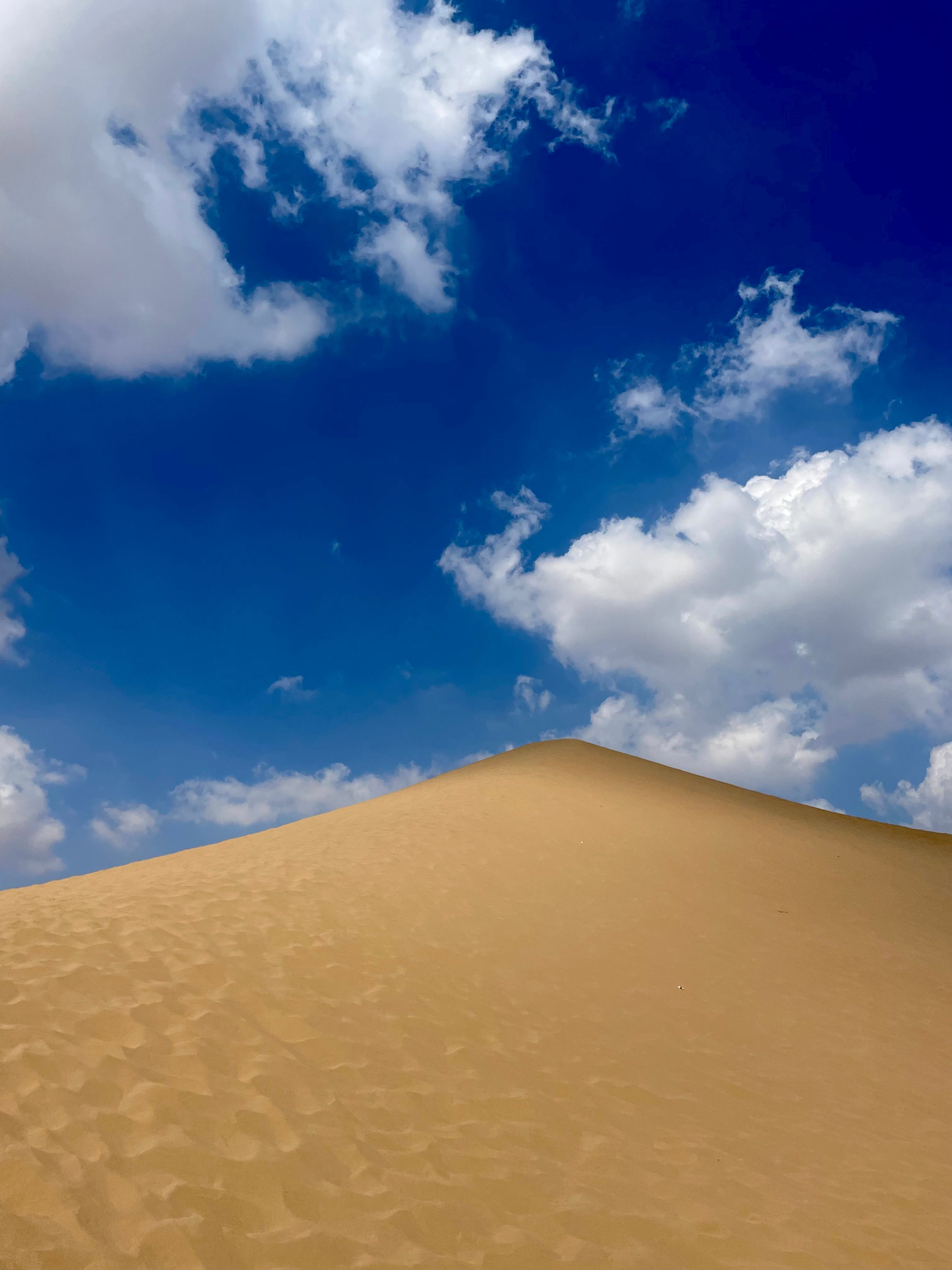 Golden Desert Dune Under Bright Blue Sky · Free Stock Photo