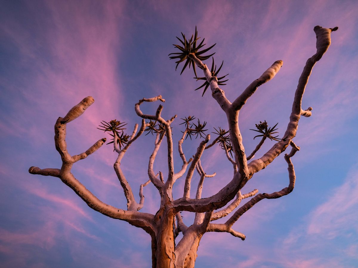 7 Day Bush Healing: Rest & Recover in Ancient Spring,South Africa 3