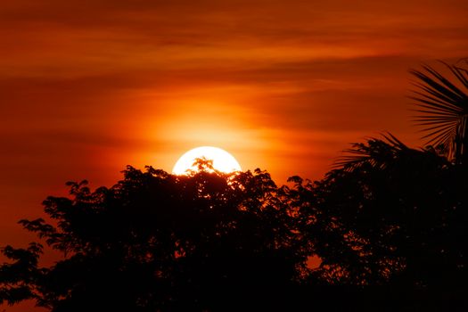 A vibrant sunrise casting dramatic orange hues over silhouetted trees, creating a serene outdoor scene.