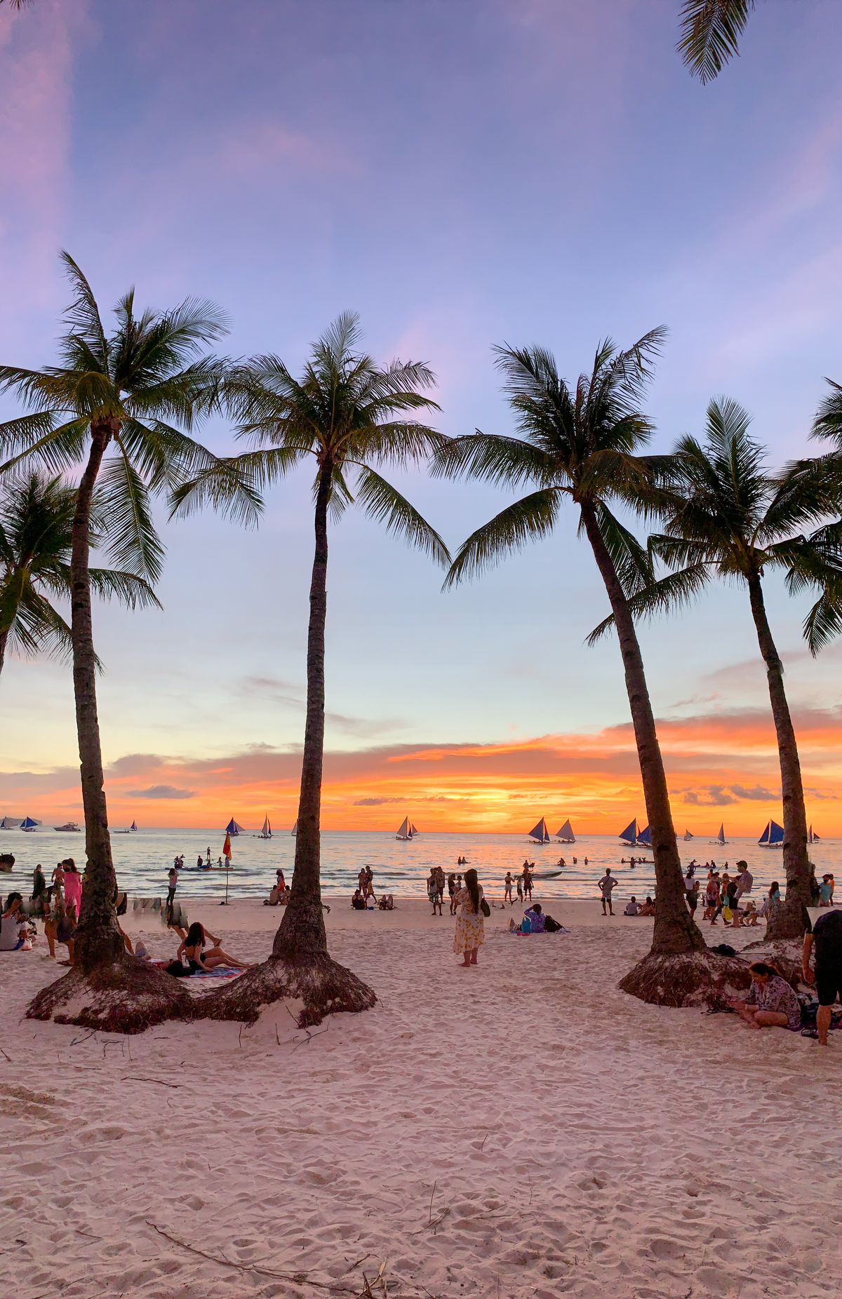 Sunset over Boracay beach with palm trees and sailboats