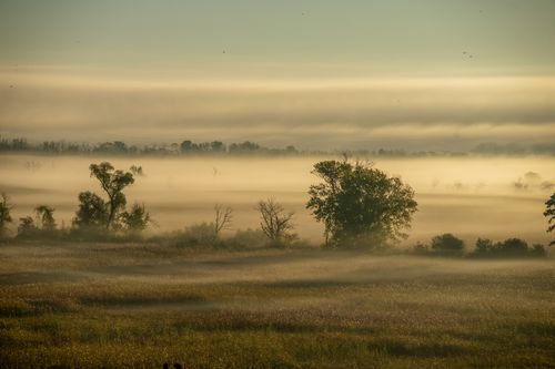 Free Peaceful morning view of fog over fields and trees in Kellogg, Minnesota. Stock Photo