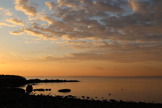 Peaceful sunrise view over Cove Island Park in Stamford, CT with fall colors reflecting on the sea.