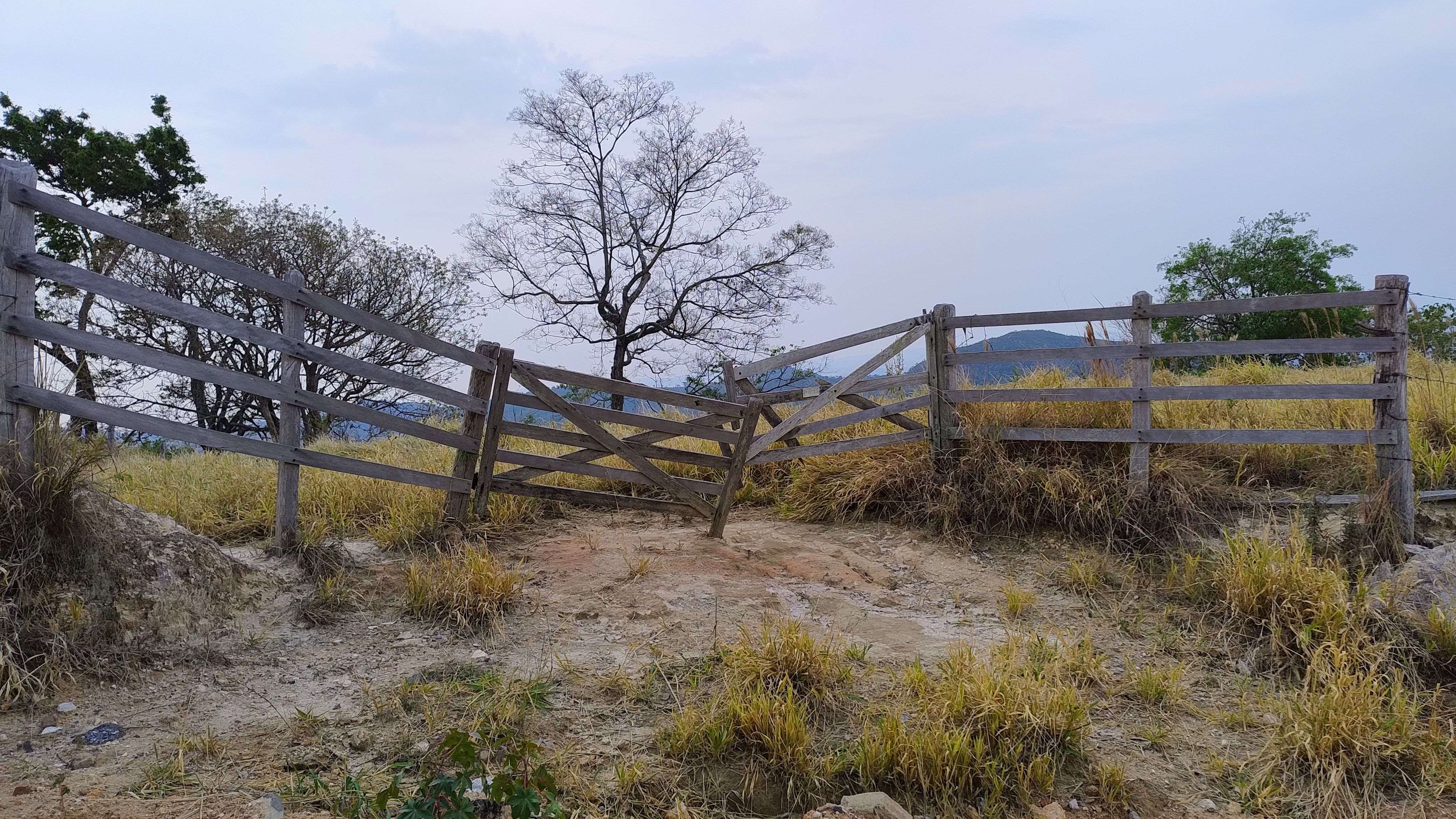 Advanced Wooden Fence Replacement