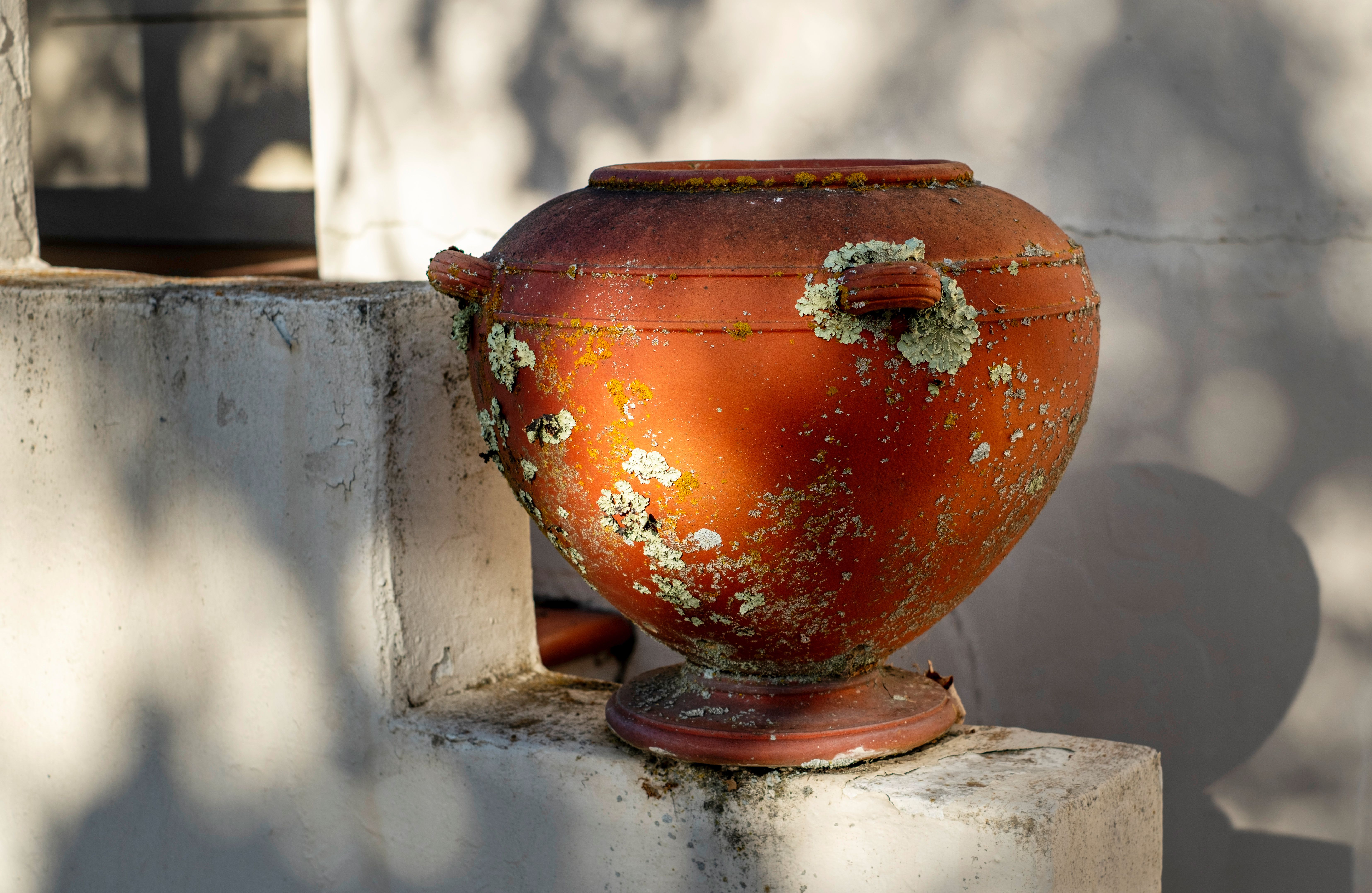 A rustic terracotta pot with moss on sunlit steps