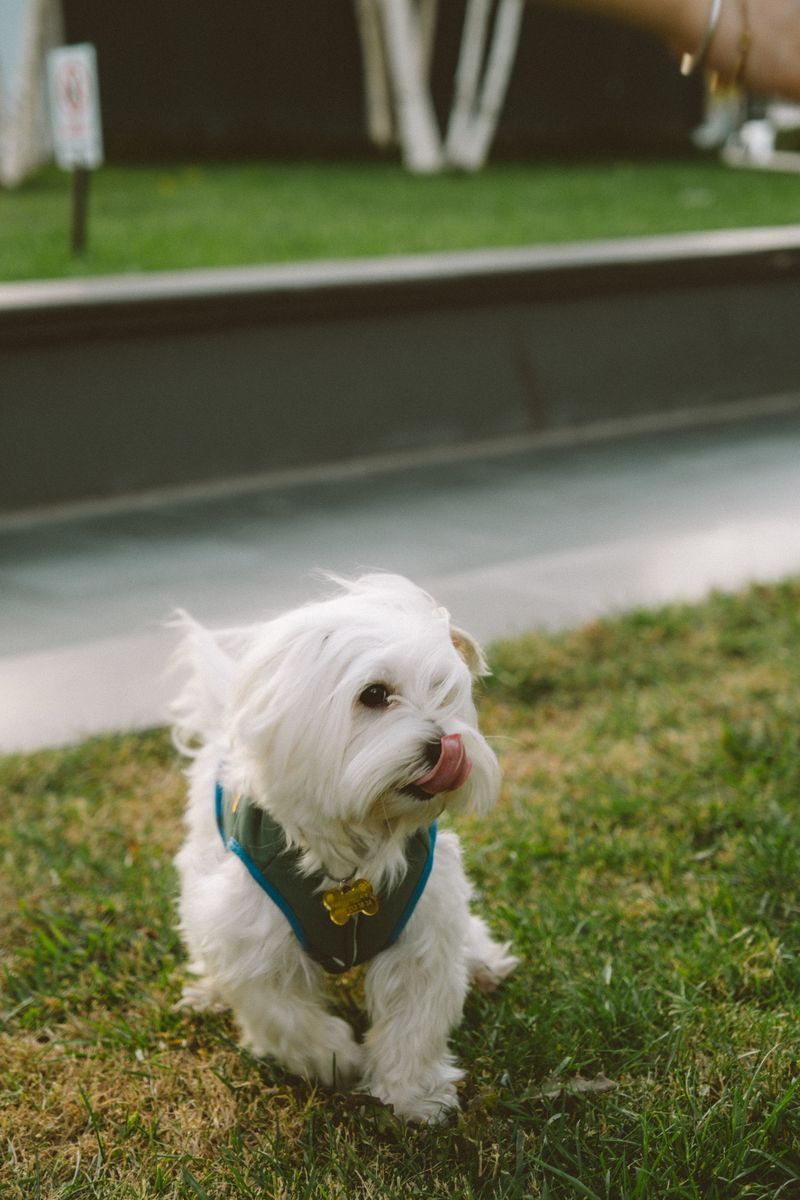Otis - photo 1