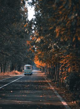 A vintage tram travels down a tree-lined road in autumn, creating a serene and nostalgic scene.