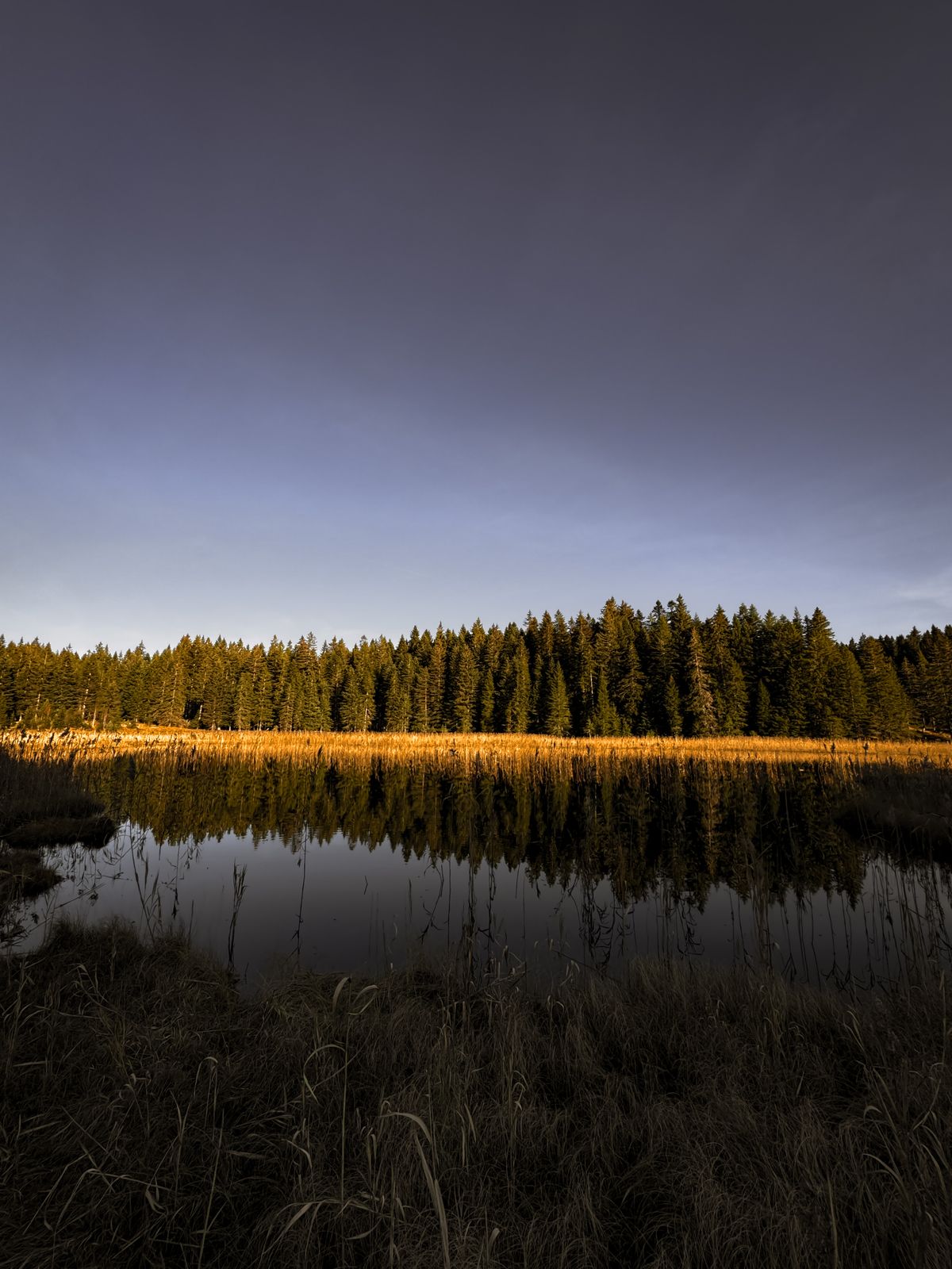 Un lago y un bosque al atardecer