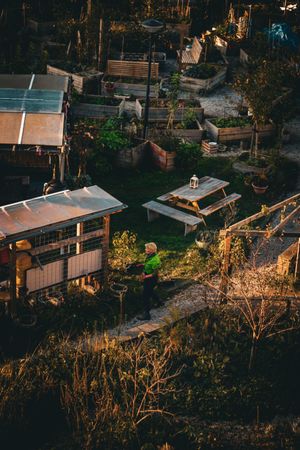 An urban allotment garden from above — Burak Akmanoglu on Pexels