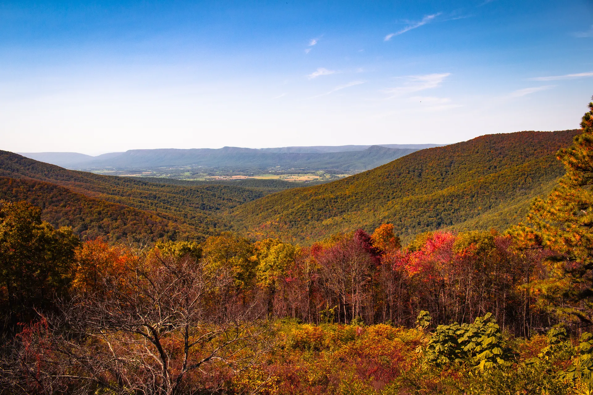 Big Schloss Hike: Virginia's Best Ridgeline Outcrop Trail