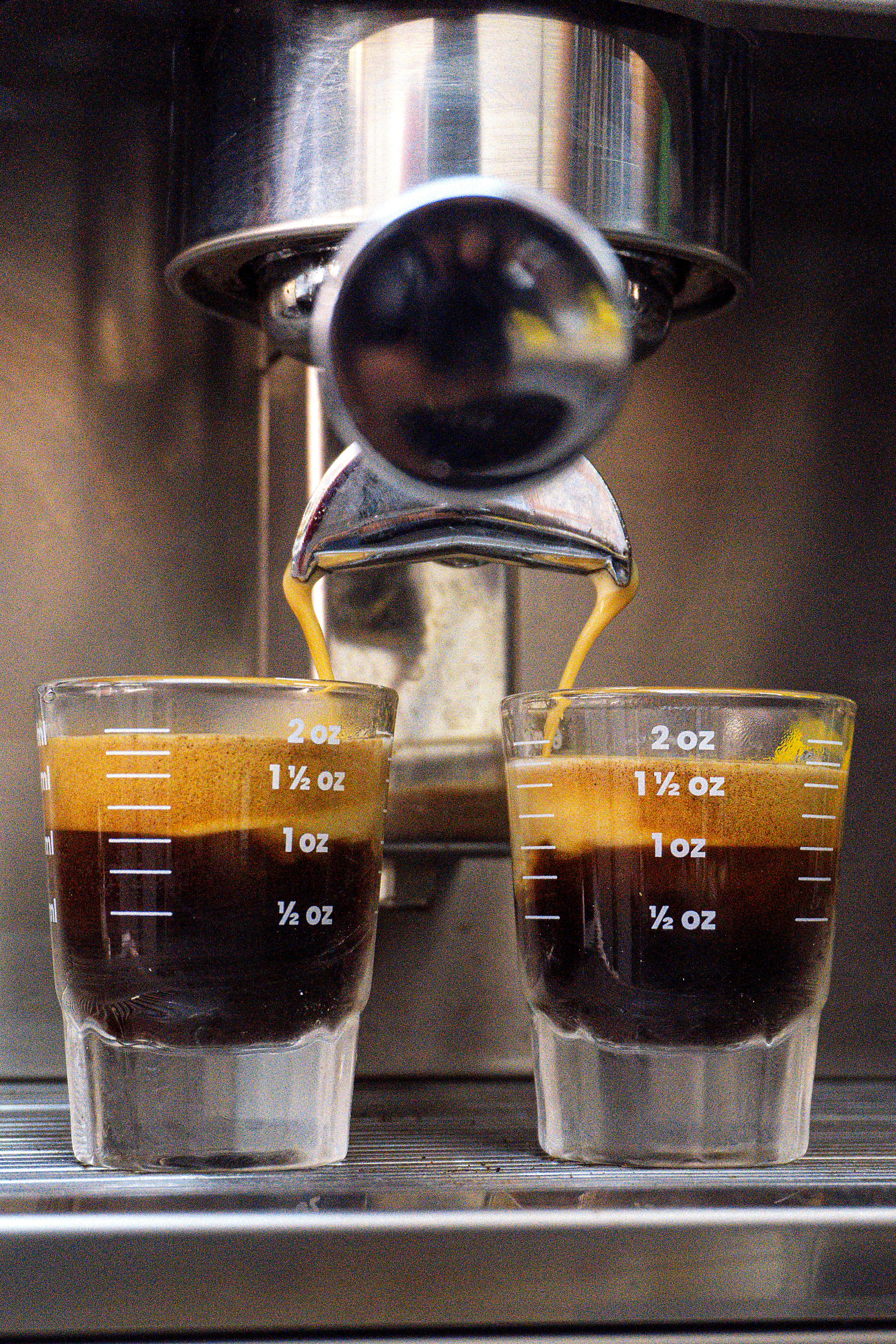 The Morning Ritual 1