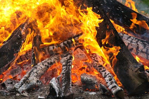 Close-Up Photography Of Burning Woods