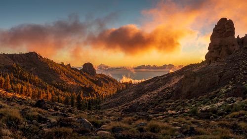 Free Stunning sunset view over rocky landscapes and lush forest in Tenerife. Stock Photo