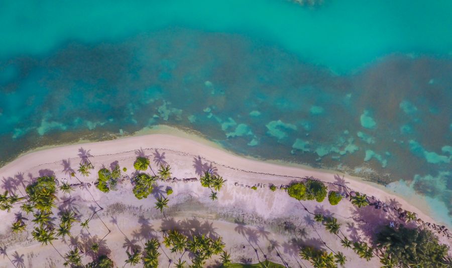 Puerto Rico coastline with palms, photo by Caleb Oquendo on Pexels