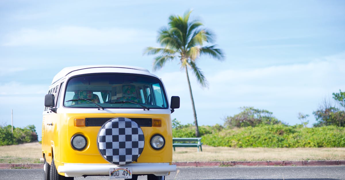 Photo by Janine Speidel Classic yellow Volkswagen bus parked on a sunny Hawaiian day with a palm tree in the background.