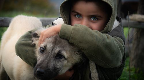 Free Child in green hoodie lovingly embraces dog, capturing a warm outdoor moment. Stock Photo
