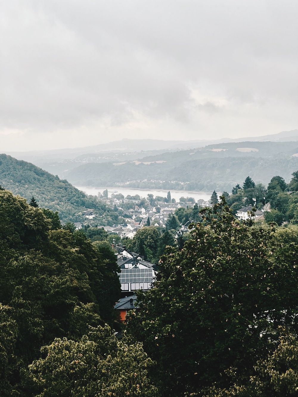 Rhine Valley & Rüdesheim Wine Cruise
