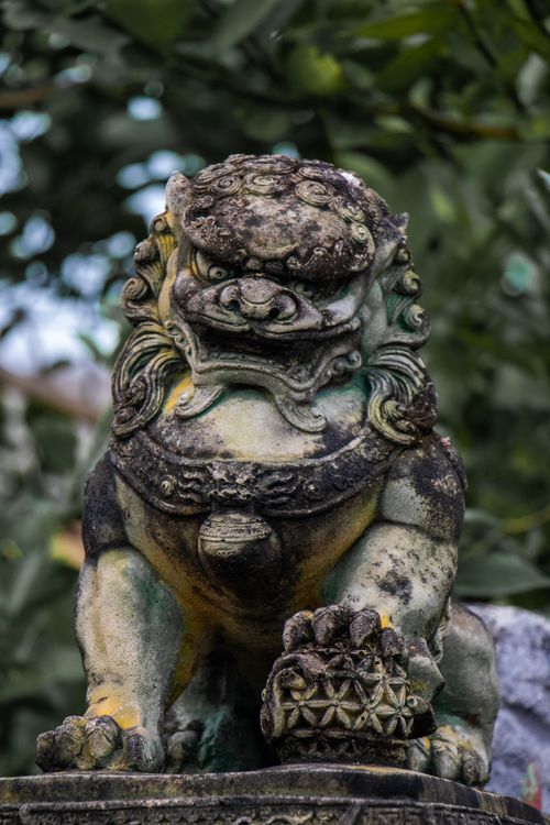 Free Detailed shot of an ancient stone lion statue surrounded by greenery. Stock Photo