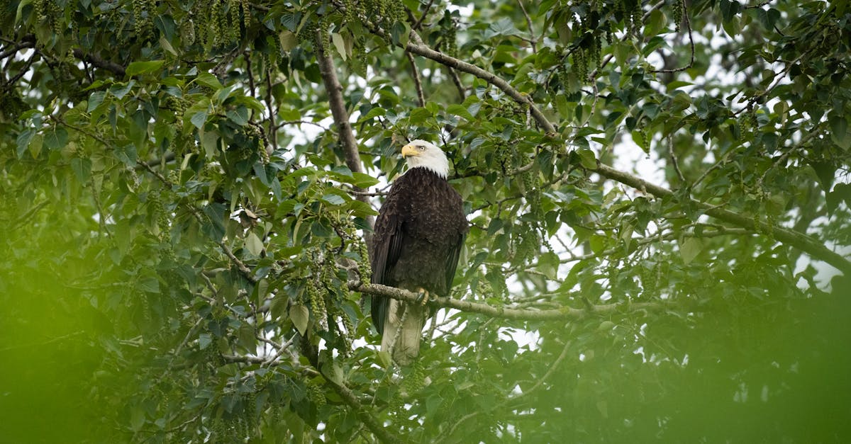 The Unseen Front 1 image text