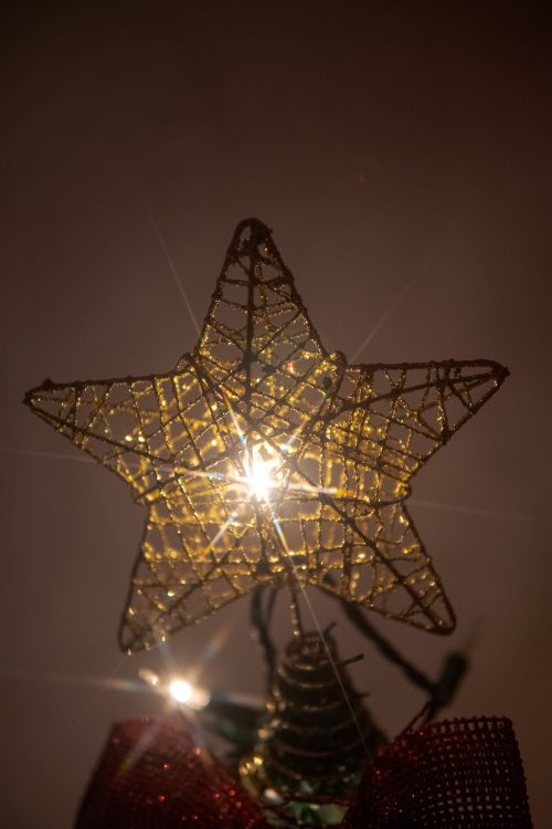 Free stock photo of chistmas cheer, christmas, christmas ambiance Stock Photo