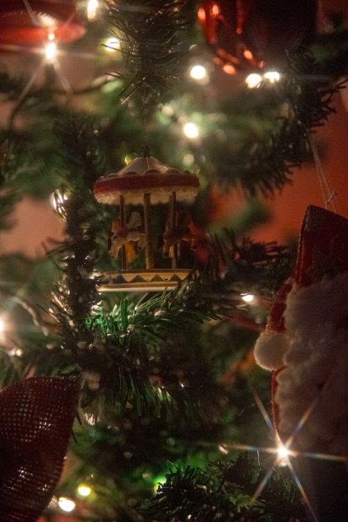 Free stock photo of chistmas cheer, christmas, christmas ambiance Stock Photo