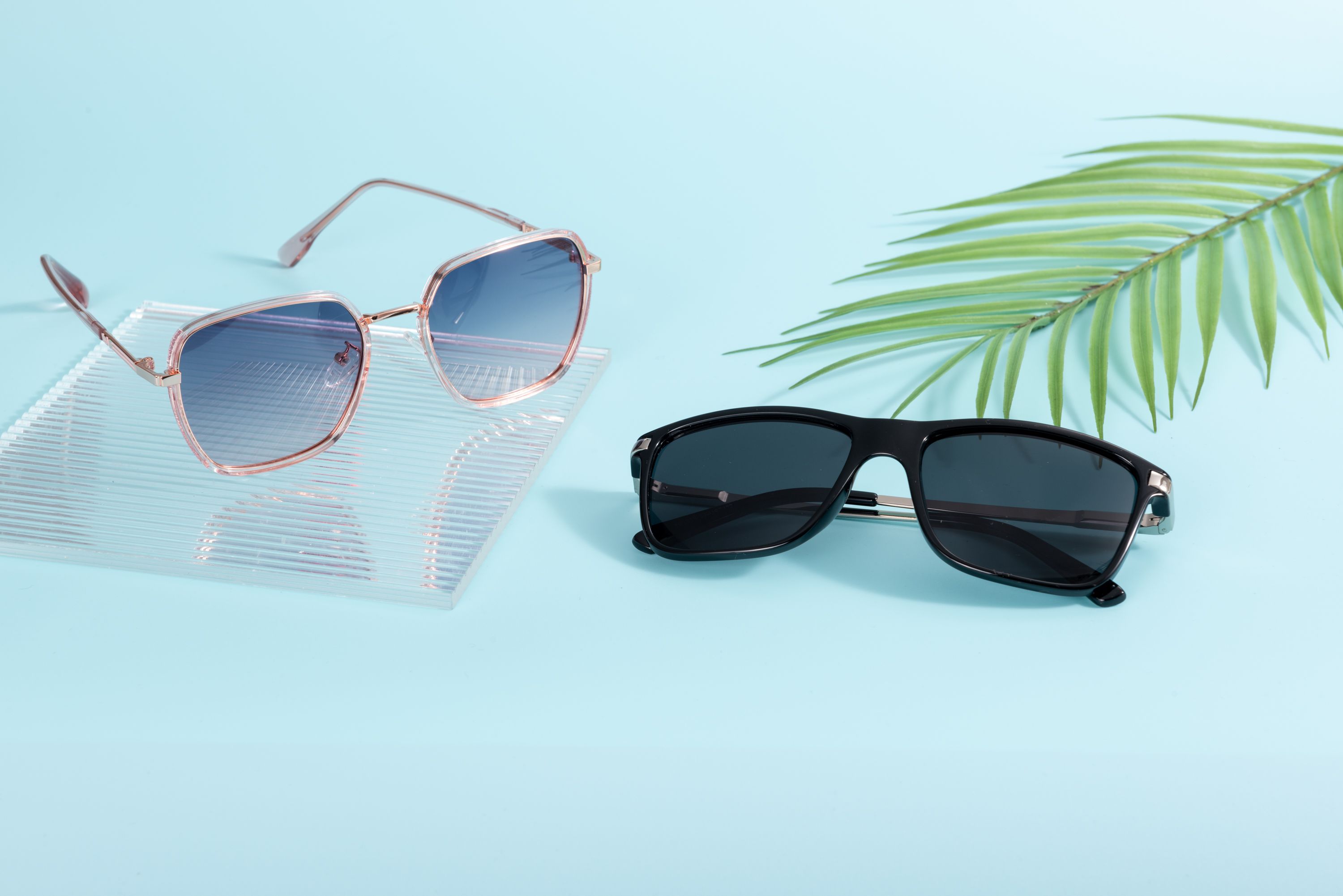 Best Sunglasses 2026: Polarized, Sport & Fashion Picks