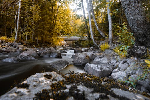 Tranquil autumn scene of a stream with rocks and a bridge in a forest setting.