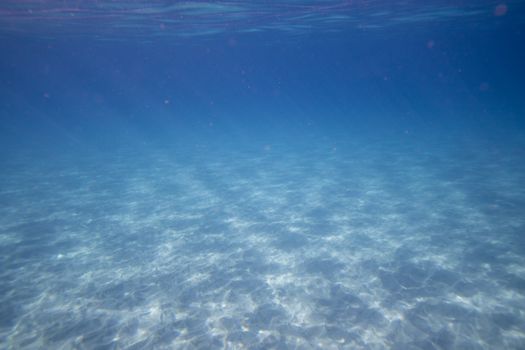 Crystal clear underwater scene in Hawaii showcasing sparkling sea floor and tranquility.