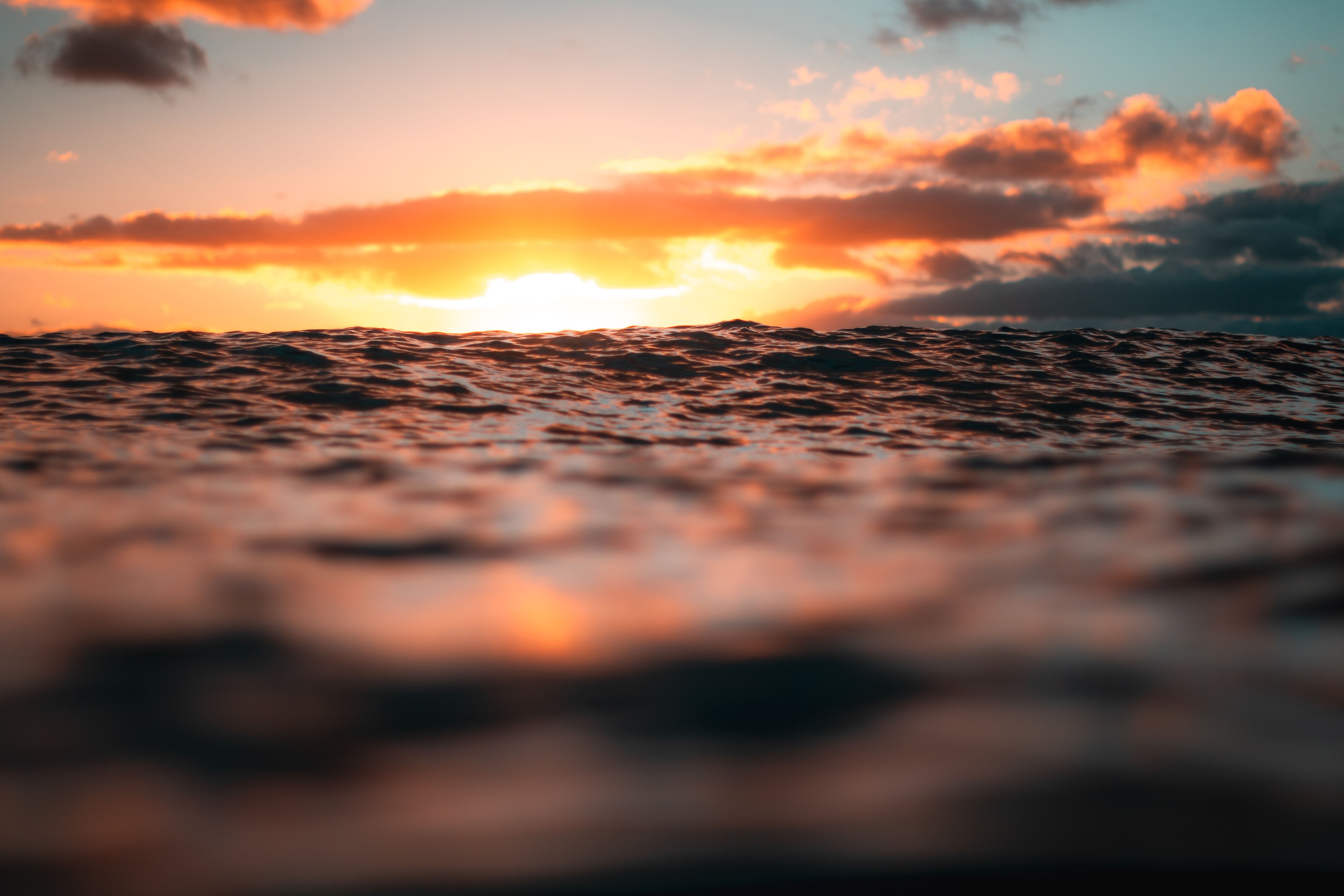 ocean heat