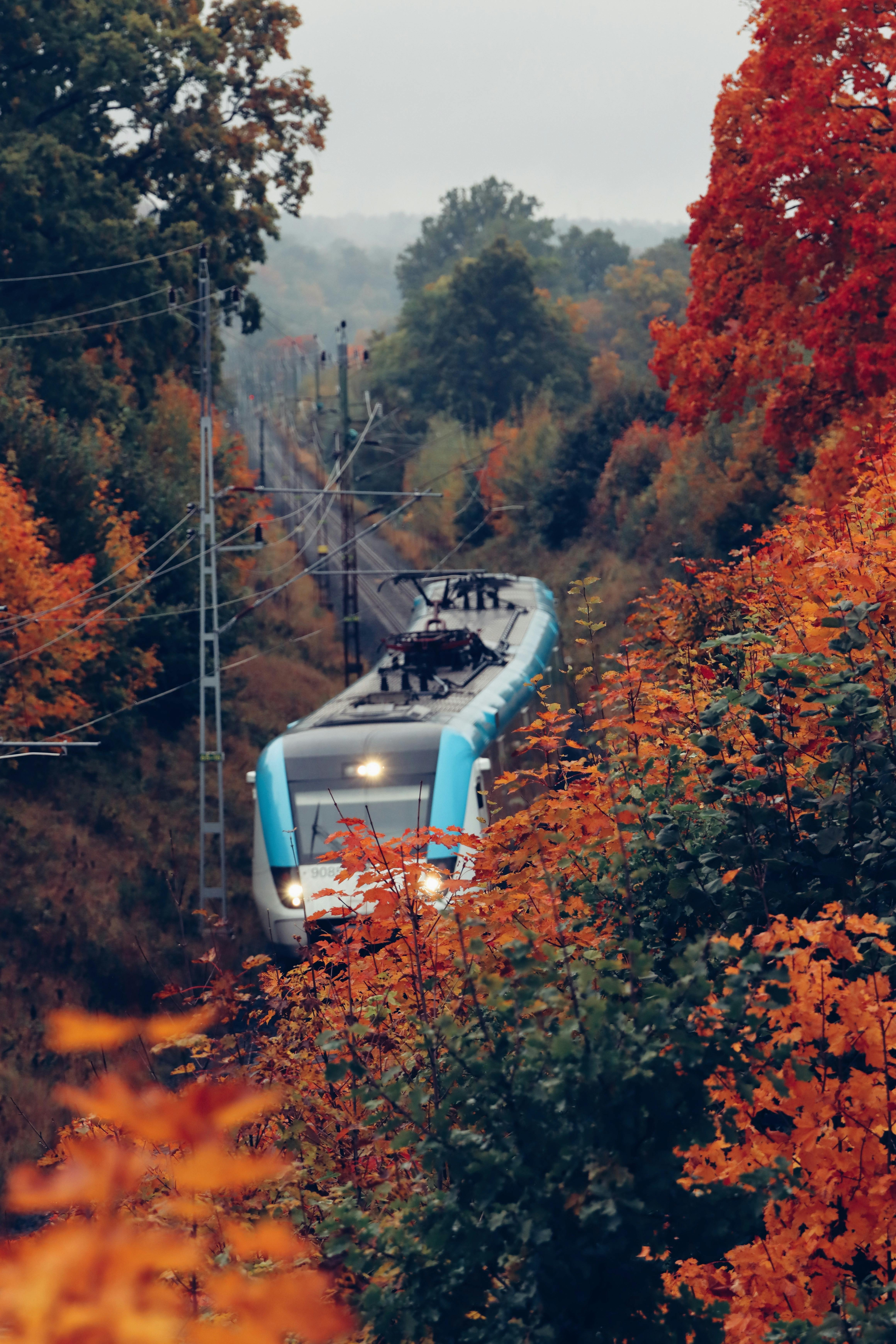 vibrant autumn train journey in sweden