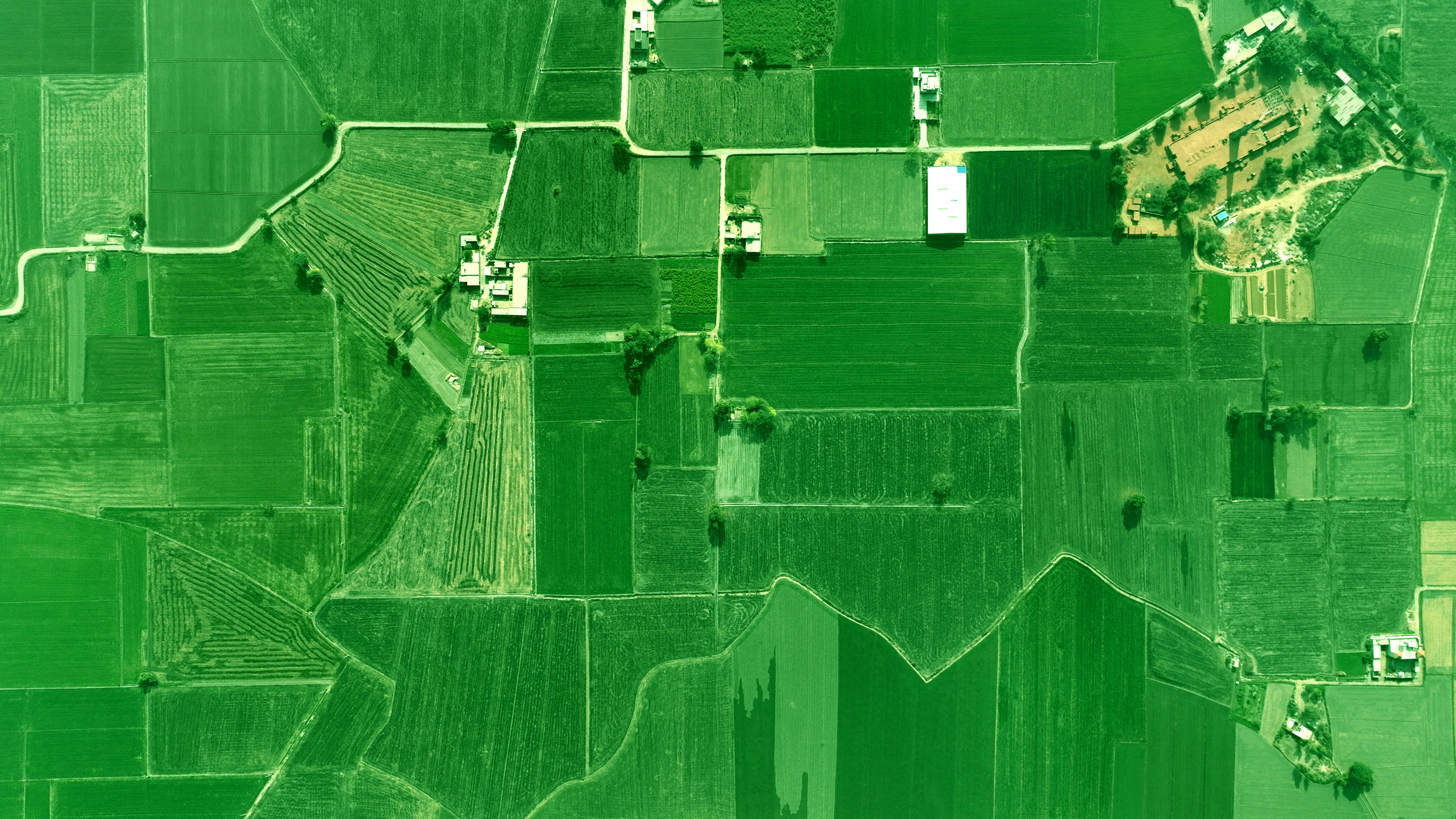 Aerial view of agricultural fields