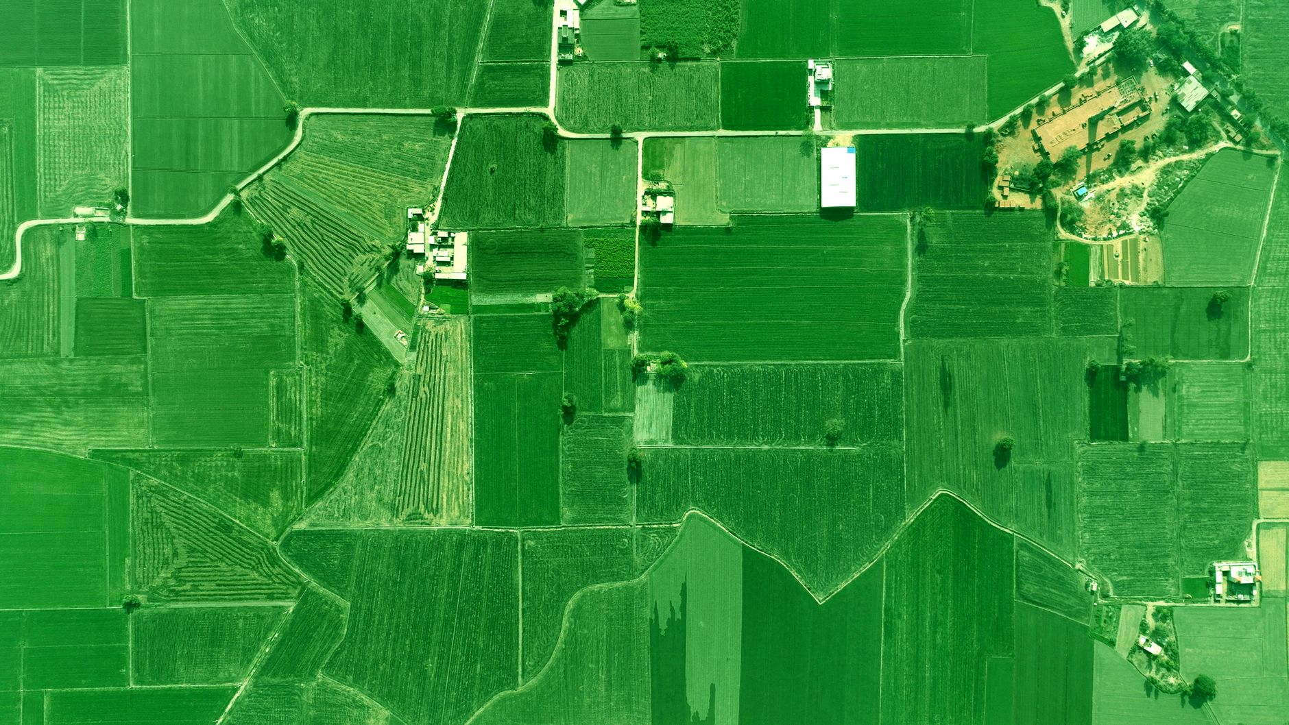 EU Opens €6M Biomass-Monitoring Grant as Industrial Competitiveness Play