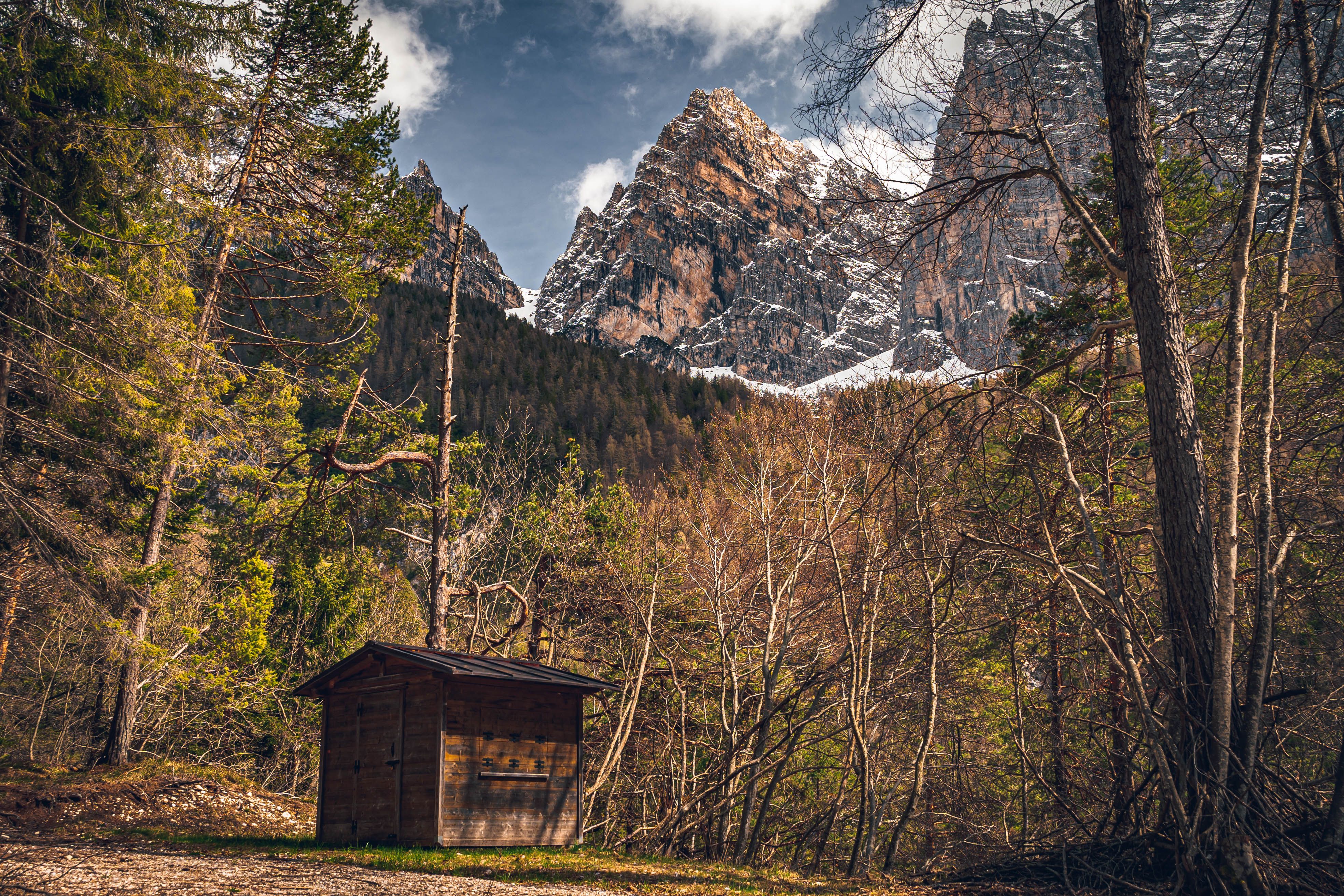 A timber lodge with a sloping roof standing on a wooded hillside