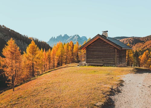 Cozy Cabin Getaways to Book for the Post-Halloween Weekend
