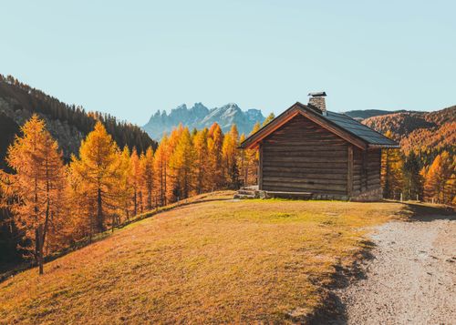 Free A charming wooden cabin surrounded by vibrant autumn trees in a mountainous setting, capturing the essence of fall. Stock Photo