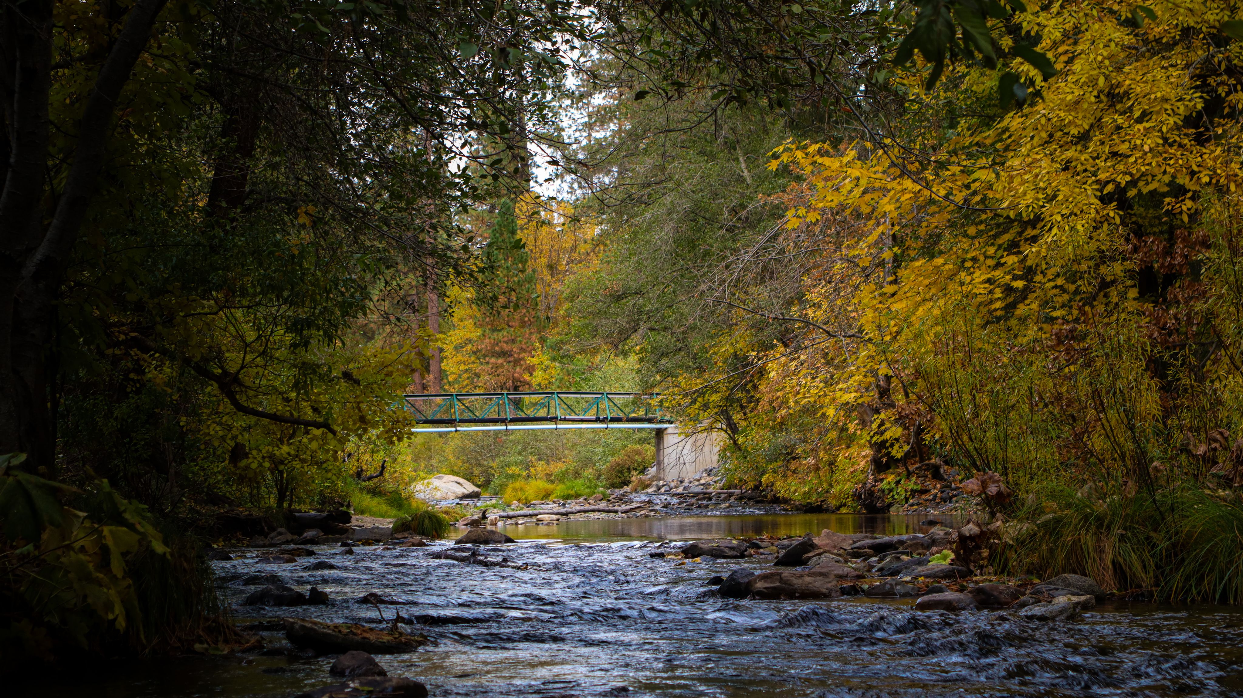 The Woods Creek suspension bridge on the Rae Lakes Loop