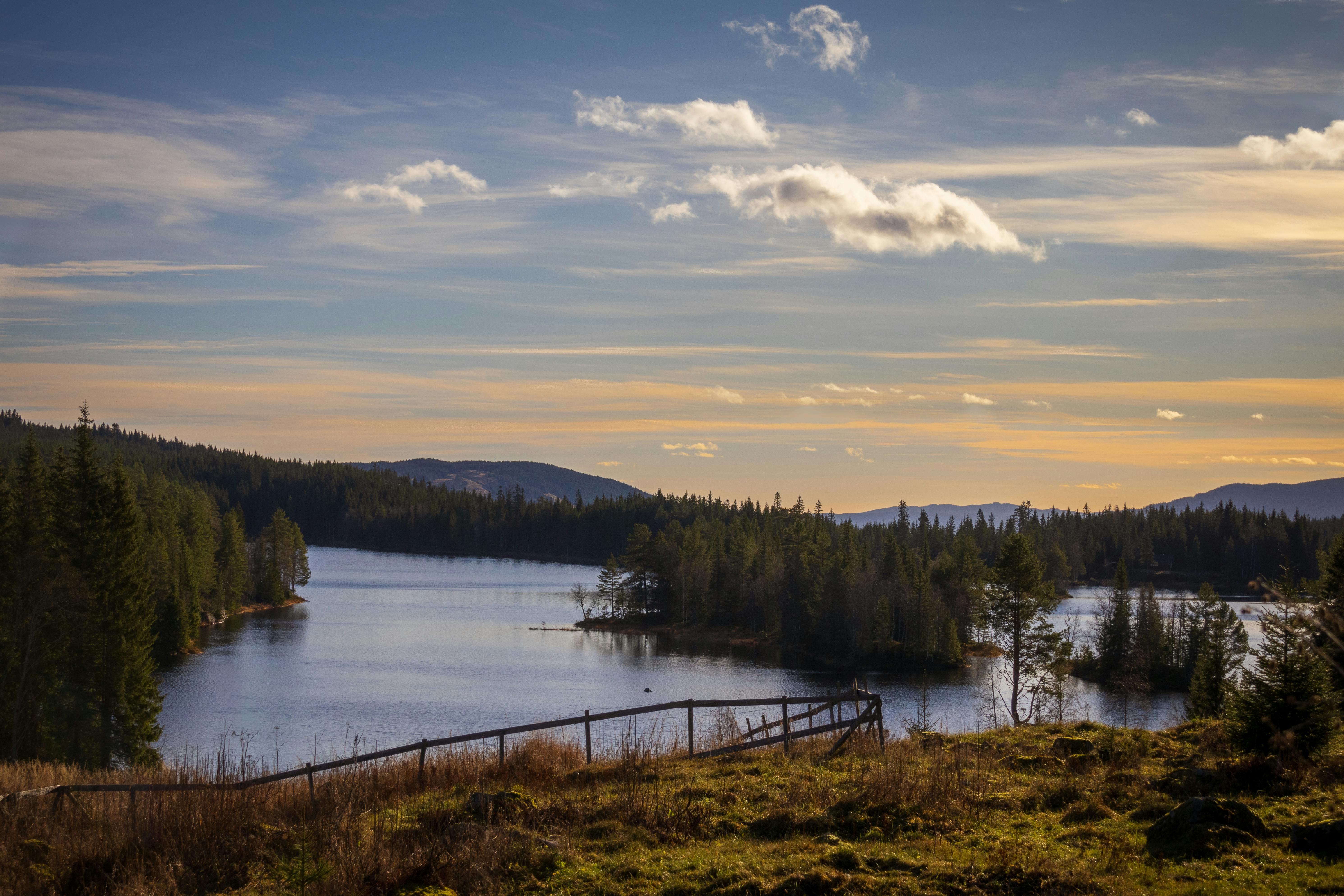 Smyrna’s Outdoor Adventure Center ignites learning and imagination — Photo by Surdu Horia on Pexels